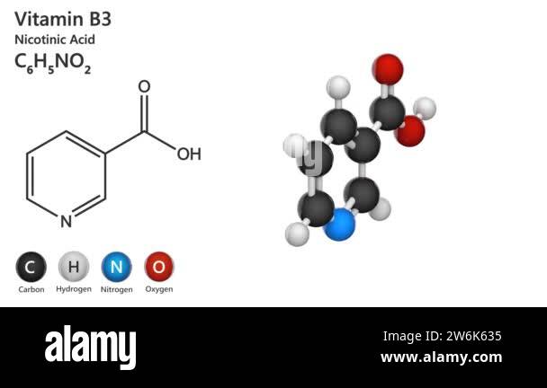 Vitamin B3(Nicotinamide). Also known as nicotinic acid. 3D illustration ...