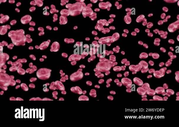 Flying many red blood cells on black background. Medical concept ...