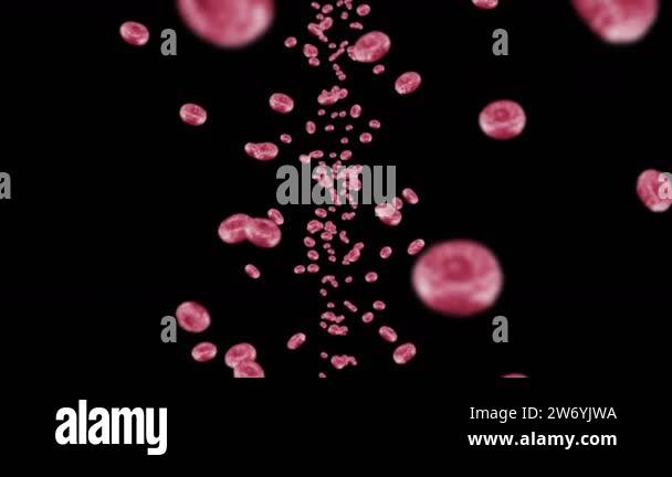 Flying many red blood cells on black background. Medical concept ...