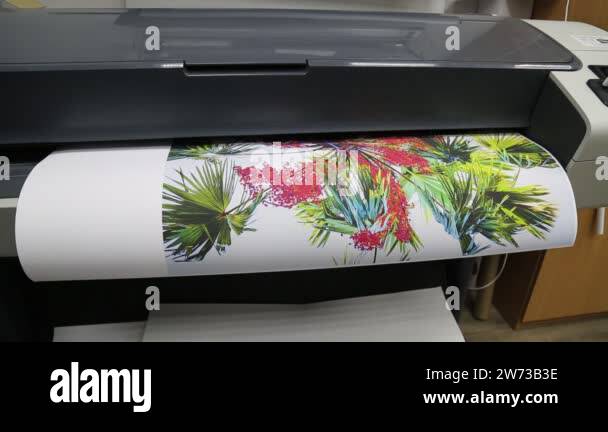 Plotter leaf Stock Videos & Footage - HD and 4K Video Clips - Alamy