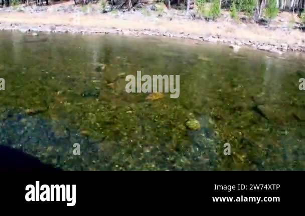 Clean rock Stock Videos & Footage - HD and 4K Video Clips - Alamy
