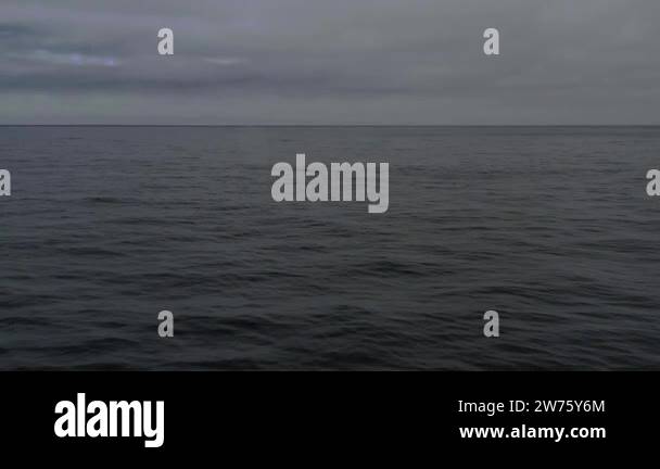 Flying fin Stock Videos & Footage - HD and 4K Video Clips - Alamy