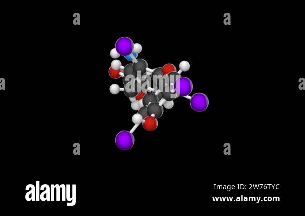 Thyroxine (T4) is the major hormone derived from the thyroid gland ...