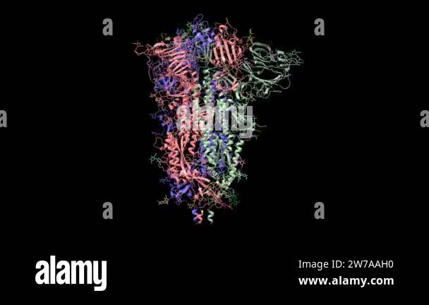 Structure of the SARS-CoV-2 spike glycoprotein homotrimer with ...