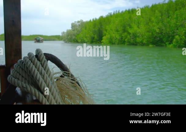 Anchor and the rope of a bamboo raft used in an ecotourism tour of a ...