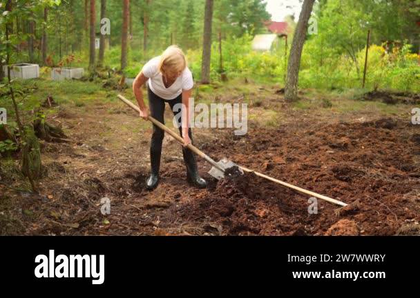 Senior gardener woman falls hurts back pain radiculitis digging at ...