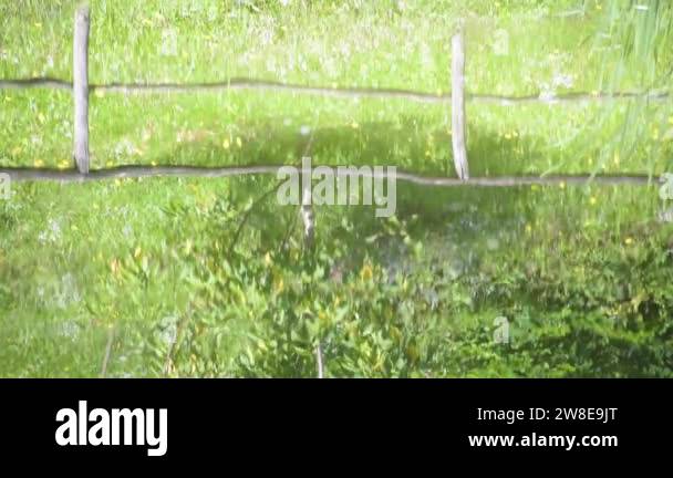 Fence in a lake Stock Videos & Footage - HD and 4K Video Clips - Alamy