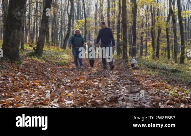 A man and a woman walk through the leaves in an autumn forest, holding ...