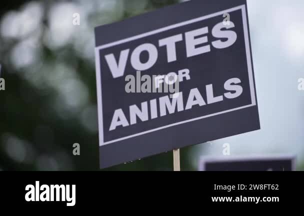 Animal protest banners Stock Videos & Footage - HD and 4K Video Clips ...
