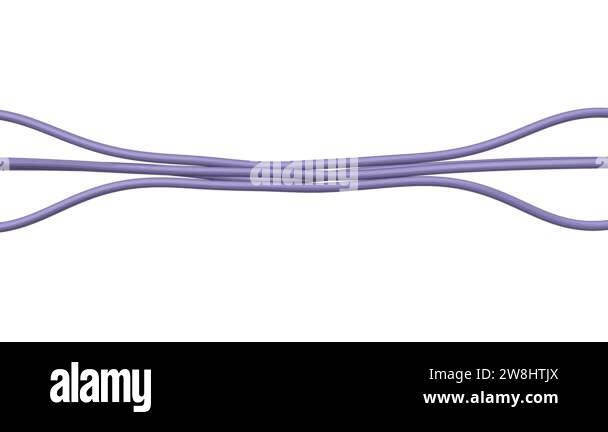 A tangle of ropes Stock Videos & Footage - HD and 4K Video Clips - Alamy