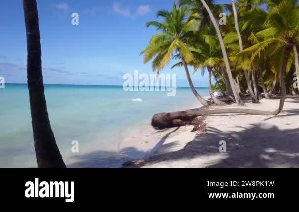Amazing Atlantics Largest Great White Spotted Off Beach Town Name - 6nnkn3j