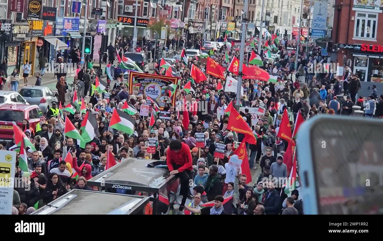 Pro palestine activists Stock Videos & Footage - HD and 4K Video Clips