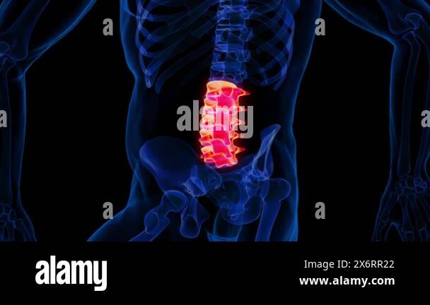 Anatomy of lumbar spine Stock Videos & Footage - HD and 4K Video Clips ...
