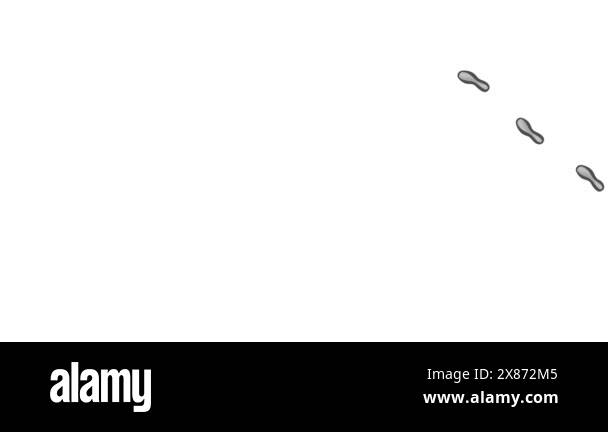 Animation footprint of Runing Human. Leaving shoes prints on the floor ...