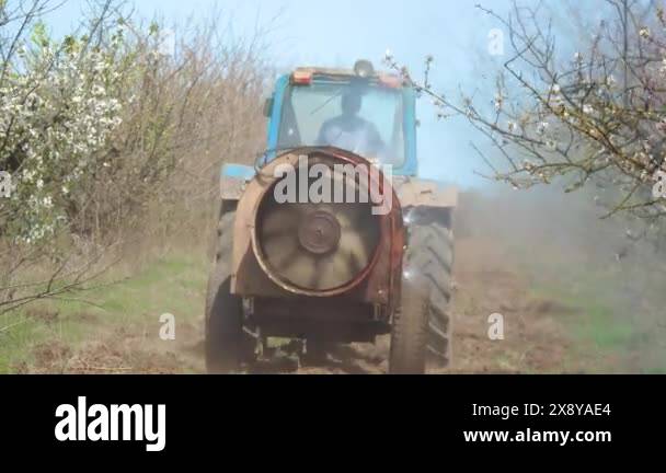 Gardener drives tractor orchard and sprays crop protection products ...