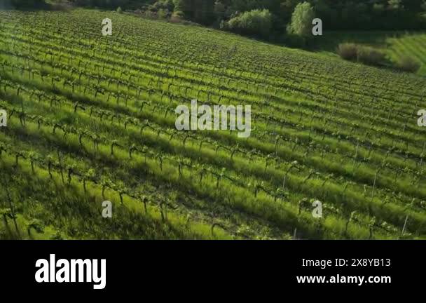 Form and pattern in nature Stock Videos & Footage - HD and 4K Video ...