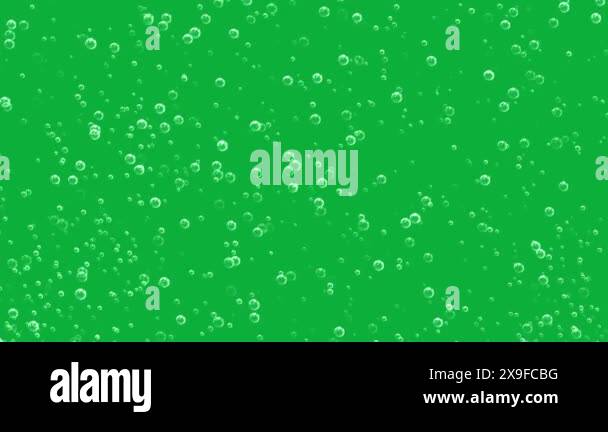 Green Screen Soap Bubbles Loop Animation Water Bubbles Transparent