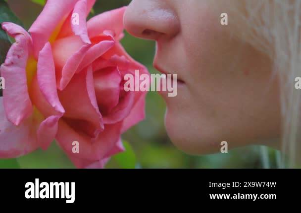 Woman sniffing big red rose on tree with closed eyes close-up ...