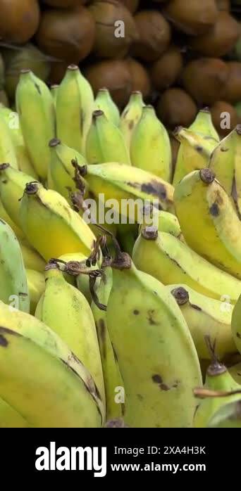 Bananas.Bunches of green bananas rotates, an interesting foreshortening ...