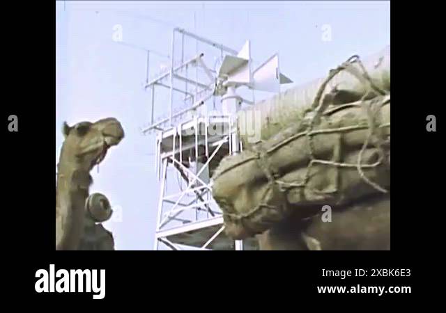 1962 - Men ride camels past a satellite station in Africa, a chart of ...