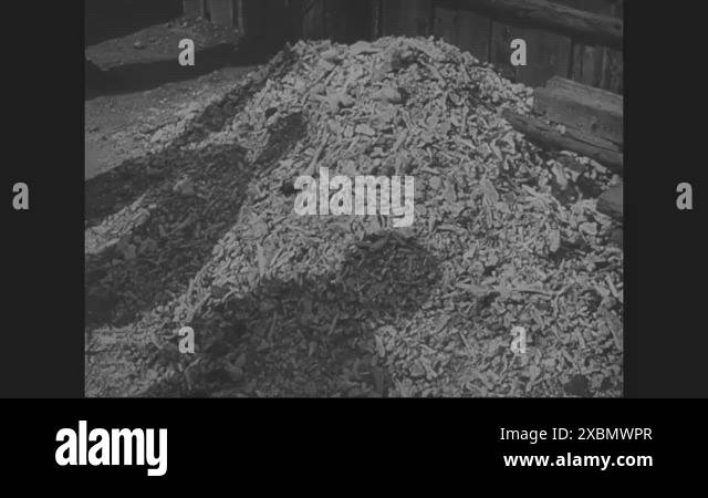 1945 - Bones of holocaust victims in concentration camps and corpses of ...