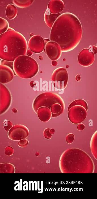 Vertical video - flowing red blood cells and particles background ...