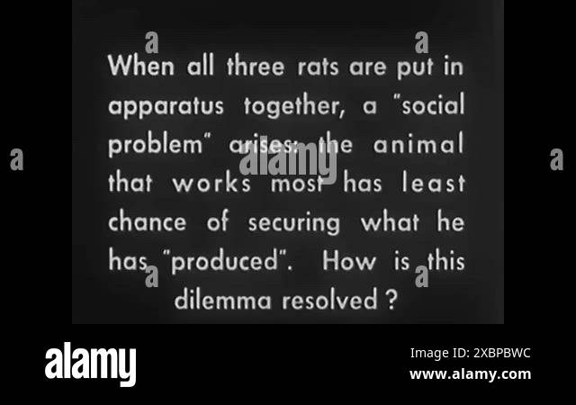 While one lab rat works maneuvers an apparatus to release a food pellet ...