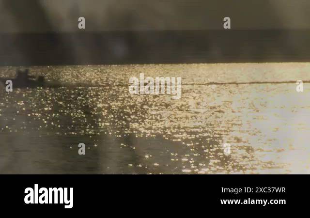 Zebra mussels are a very big problem for boaters in lakes across