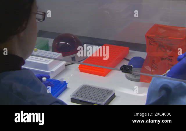 CDC scientists in appropriate personal protective equipment perform ...