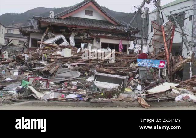 Japanese tsunami rescue team