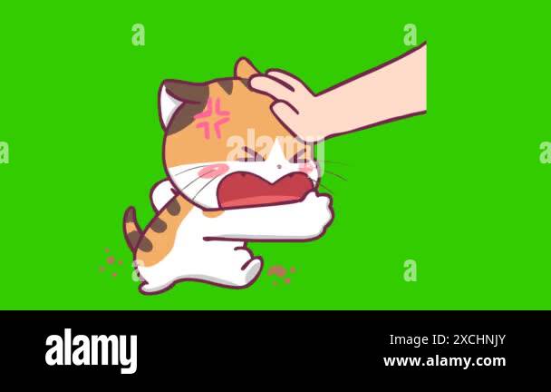 Cartoon cat angry expression Stock Videos & Footage - HD and 4K Video ...