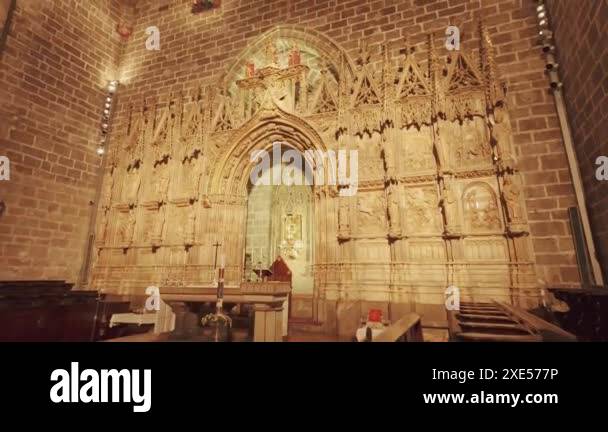 Cathedral basilica of the assumption of our lady Stock Videos & Footage ...