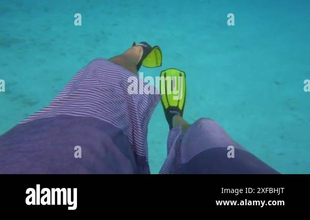 Snorkelling flippers Stock Videos & Footage - HD and 4K Video Clips - Alamy