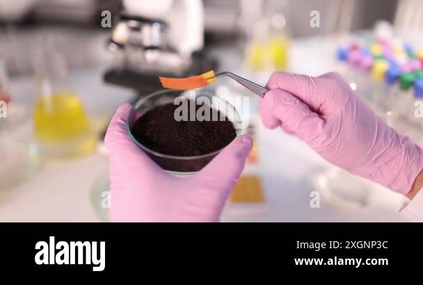 Ph test of soil Stock Videos & Footage - HD and 4K Video Clips - Alamy