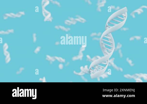 White DNA double helix strand rotates on blue background loop animation ...