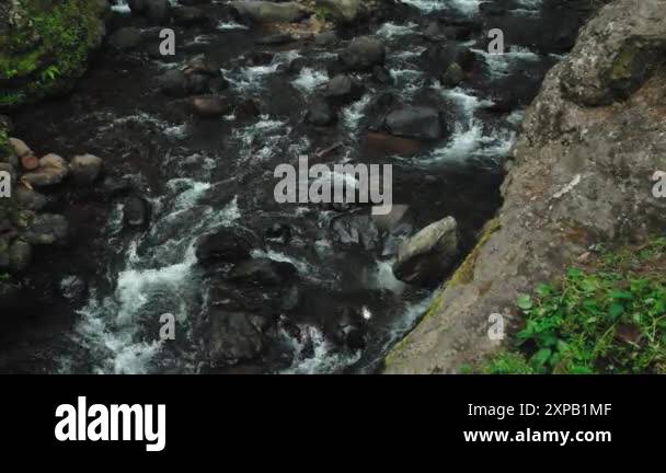 Aerial view of a flowing river with rocky banks, surrounded by lush ...