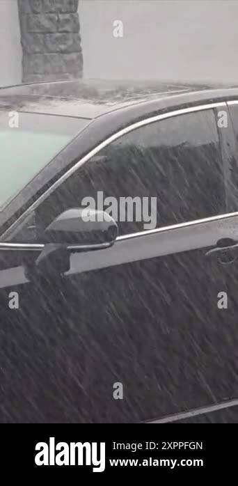 Tree Shaking While Raining Heavy rain on a summer day. Trees are shaking from the strong wind ...