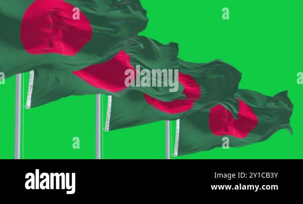 National flags of Bangladesh waving in the wind isolated on green ...