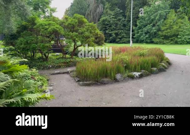 Tree alley lane railing Stock Videos & Footage - HD and 4K Video Clips ...