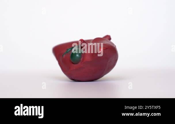 Anatomical model of human liver captured from all angles on a rotating ...