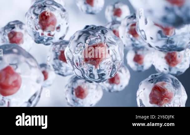 Human cells floating, Embryonic stem cell, Cellular therapy and ...