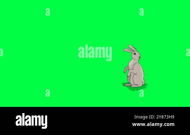 2D animated rabbit character is watching then turns and runs exits of ...