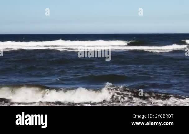 Distant bird Stock Videos & Footage - HD and 4K Video Clips - Alamy