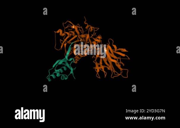 The crystal structure of proprotein convertase subtilisin kexin type 9 ...