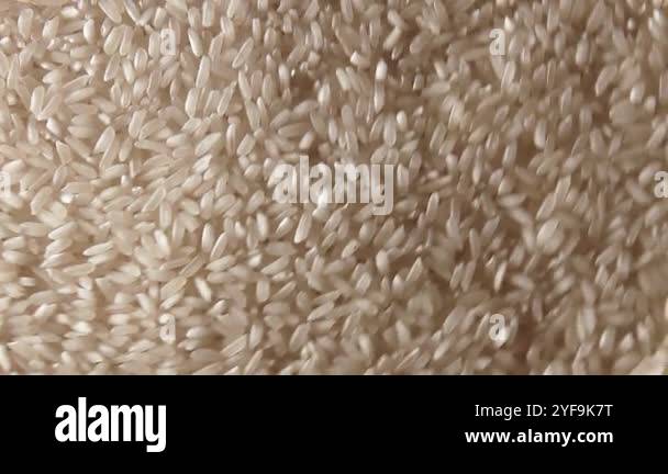 Long Grain Rice Rotation Dry Uncooked White Rice Background Rotating Right - Top View. Scattered ...