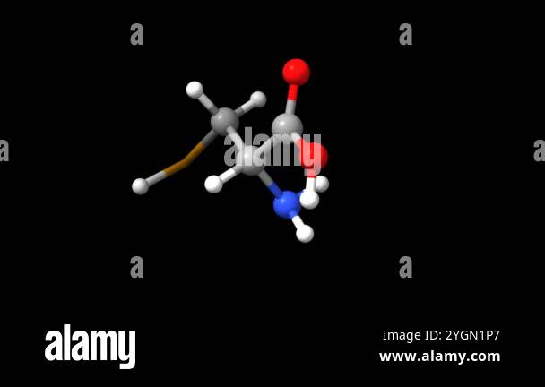 Structure of the amino acid DL-selenocysteine. Animated 3D ball-and ...