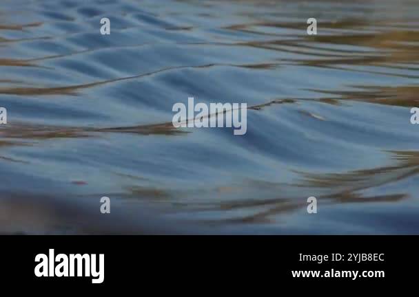 Boat ripples Stock Videos & Footage - HD and 4K Video Clips - Alamy
