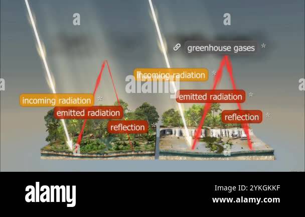 Soli Disruption Consequences of deforestation include loss of biodiversity, disruption ...