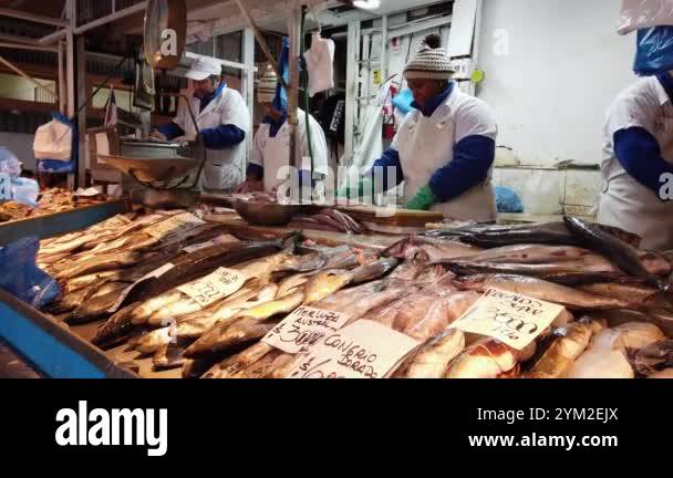 Fishmongers fish counter Stock Videos & Footage - HD and 4K Video Clips ...