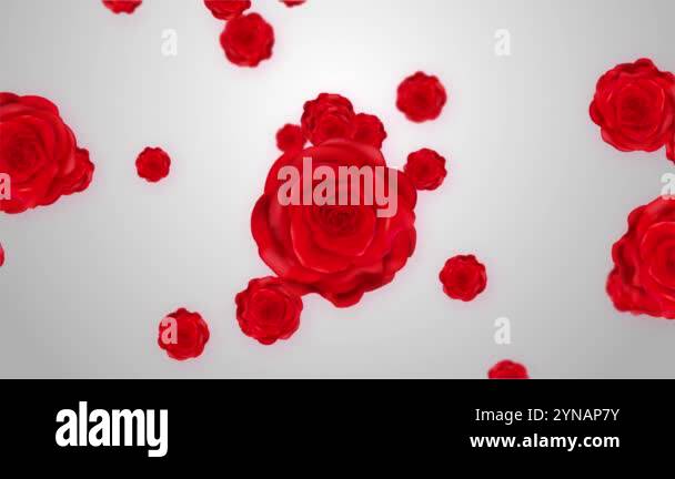 Falling red roses coastal scenery Elegant background animation. This ...